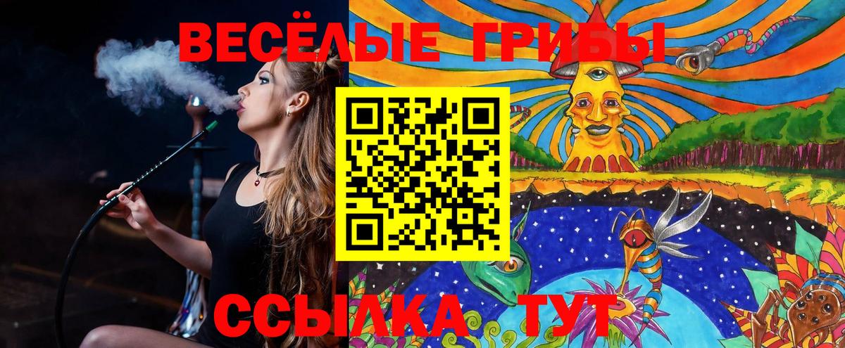 Тольятти  Галлюциногенные грибы Cubensis  Вход с VPN 